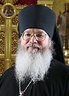 Епископ Троицкий Панкратий: «Не заглушать совесть»