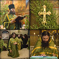 Фотогалерея. День Святой Троицы 2010 года в Сретенском монастыре