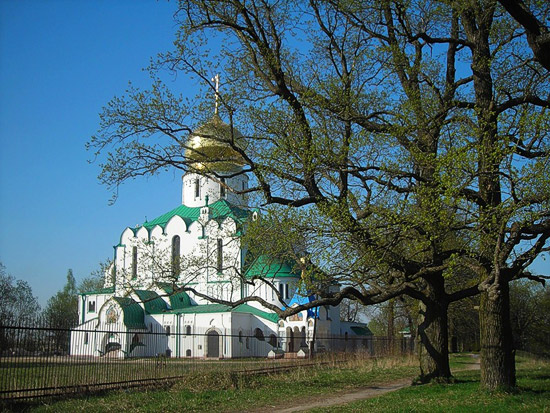 The Feodorov Cathedral in Tsarskoe Selo. Photo by uolliss.ya.ru.