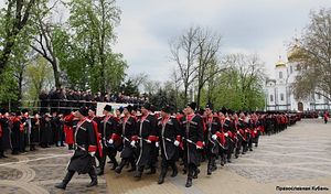 Загрузить увеличенное изображение. 975 x 572 px. Размер файла 149270 b.
 Фото: НТК-ТВ, «Живая Кубань»