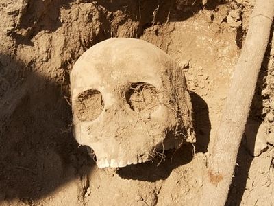 Массовое захоронение армян времен Первой мировой войны обнаружено в Турции