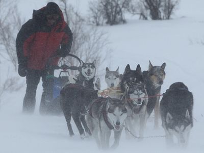 Priest takes part in dog team race on Kamchatka