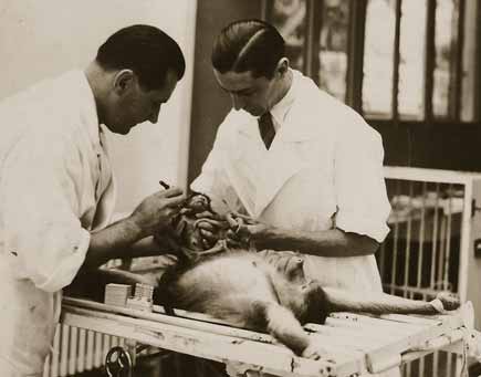 Доктор Воронов и его ассистент с обезьяной на операционном столе