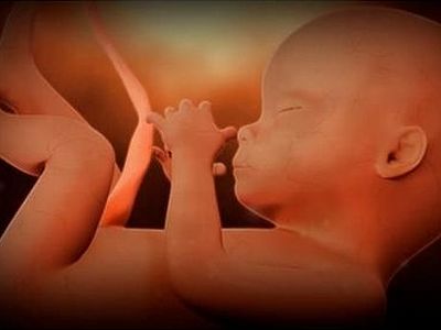 В США снова пытаются запретить аборты после 20 недель беременности
