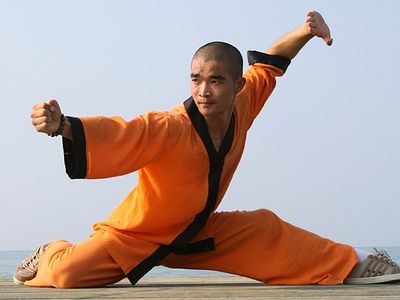 Kung Fu and the Way of the Ant