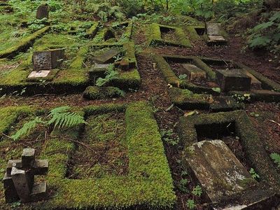 Repeated Vandalism in Historic Sitka Cemetery