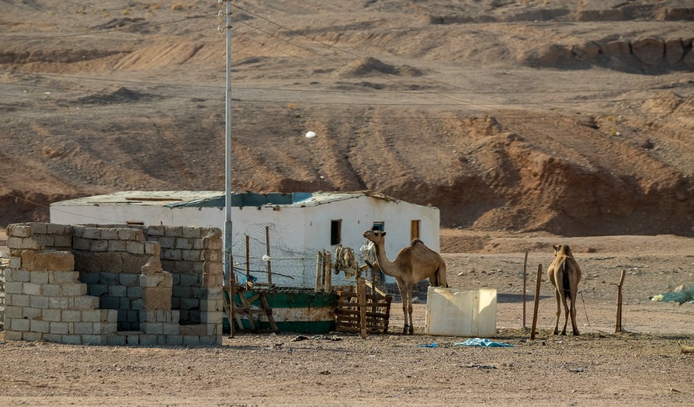 Bedouins’ residential settlements