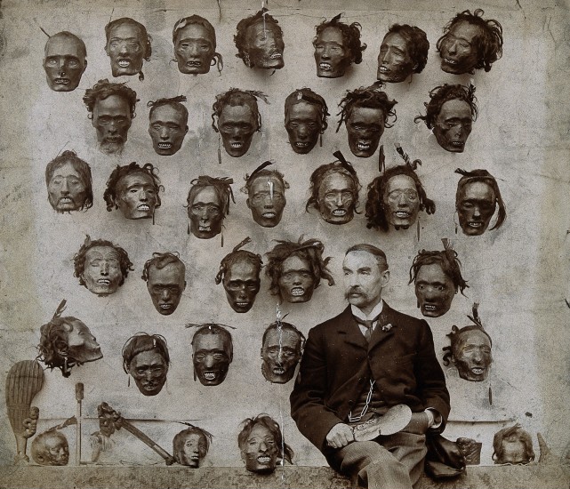 Коллекция засушенных голов новозеландцев племени маори, собранная британским офицером Горацио Робли. Фото 1895 г.
