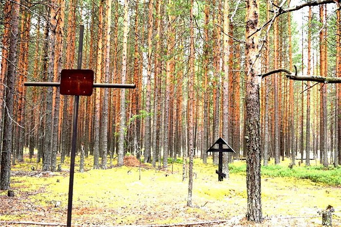 Кладбище «Лесозаводское» поселка Аджером , в котором хоронили заключенных Локчимлага, Пезмогского отдельного лагерного пункта в 1938– 1945 г.г.
