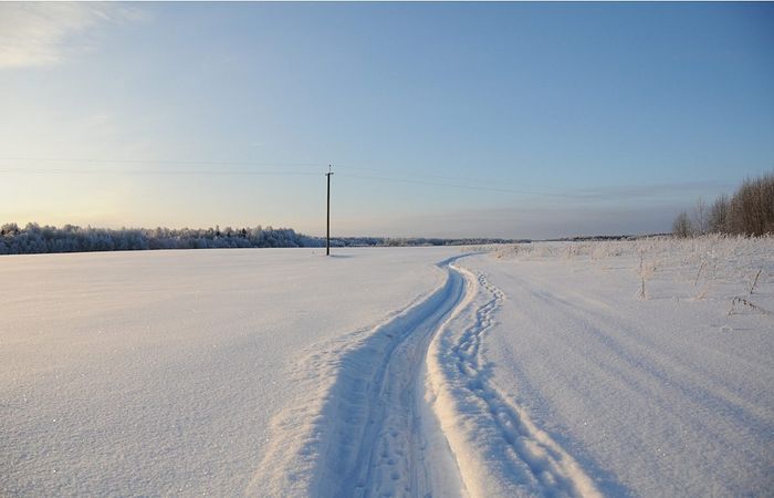 Зимнее поле. Фотография Ольги Толстиковой.