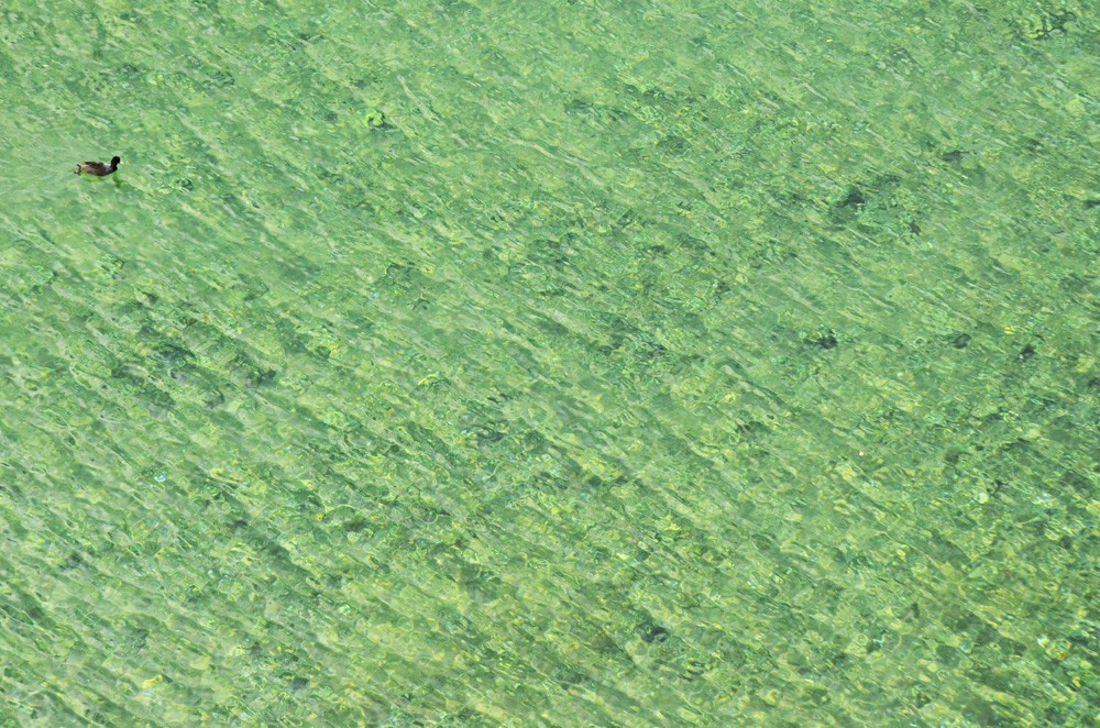 Воды Охридского озера