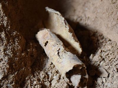Twelfth Dead Sea Scrolls cave found, but no scrolls