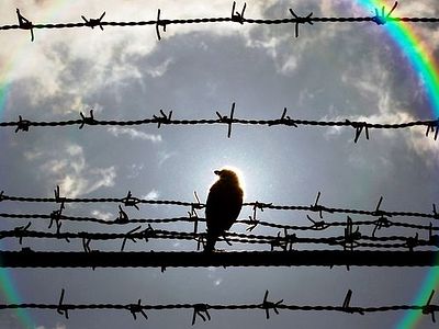 Умягчение злых сердец