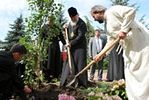 В память о пребывании в одесском Успенском мужском монастыре Святейший Патриарх Кирилл посадил дерево