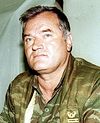 Подробности охоты на генерала Младича