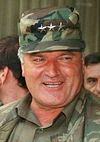 В чем обвиняют генерала Младича