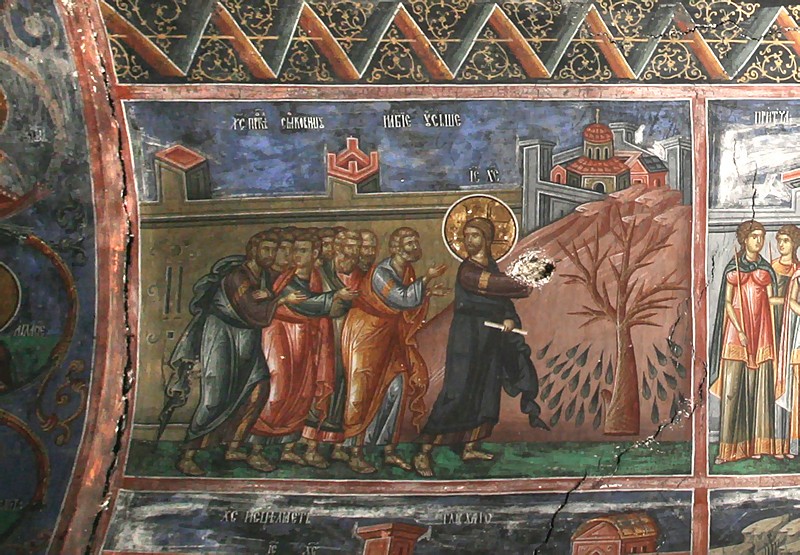 Holy and Great Monday. The cursing of the fig tree. Patriarchate of Pec. 14th c.