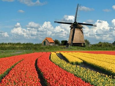 Православная Европа. Статья 3<BR>Нидерланды: миссия Церкви в либеральной стране. Часть 1