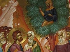 Zacchaeus and the Salvation of Sinners