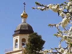 Библейский сад будет разбит на подворье Русской Духовной Миссии в Хевроне