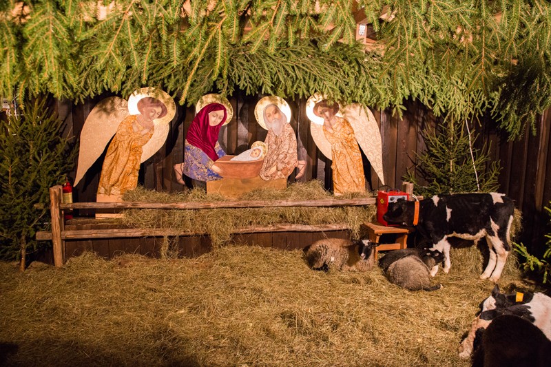 Children love manger scenes with animals.