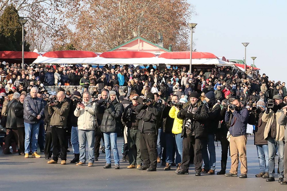 Onlookers and press on the banks of the Danube. 