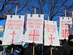 Assembly of Bishops issues common statement on sanctity of life