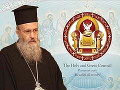 Metropolitan Hierotheos of Nafpatkos describes problems with documents adopted on Crete