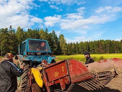 Valaam monks gather first grain harvest in seventy-seven years