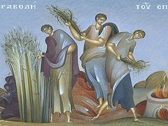 Be Good Soil! The Parable of the Sower