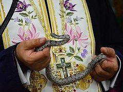 Snakes of the Panagia have appeared in Kefalonia church