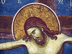 On the Holy Cross and Human Suffering