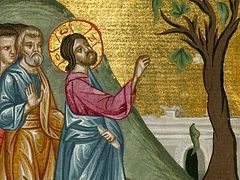 What Will the Lord Find When He Comes: On the Barren Fig Tree