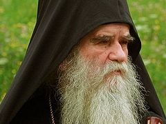 Attack on Syria is madness and shame for NATO—Metropolitan of Montenegro