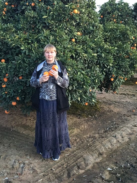 Апельсиновые рощи недалеко от монастыря