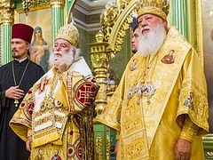 Patriarch of Alexandria pledges to speak to Orthodox leaders to save canonical Church in Ukraine (+ VIDEOS)