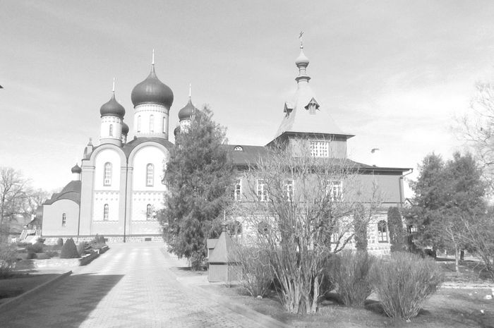 Пюхтицкий монастырь. Фото Петра Давыдова.