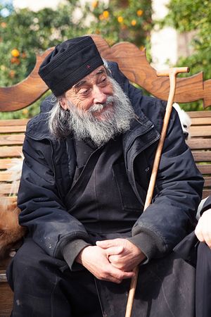 Elder Gregory (Zumis). Photo: dmdonskoy.ru