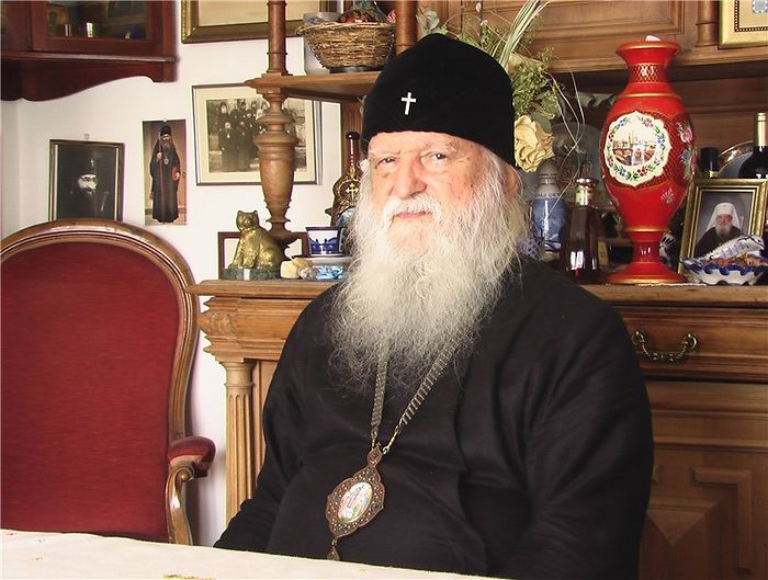 Архиепископ Медонский Михаил (Донсков)