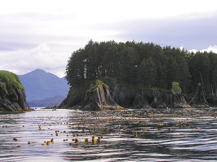 Spruce Island. Photo: wikipedia