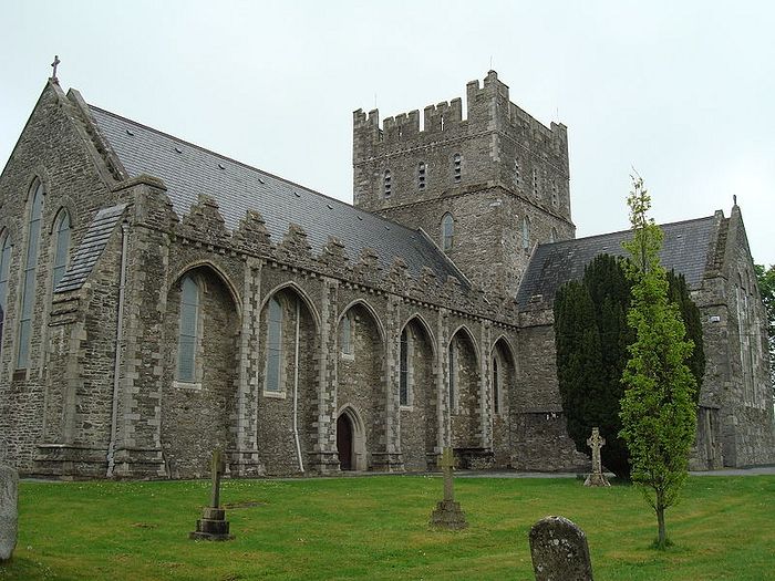 St. Brigid's Cathedral in Kildare