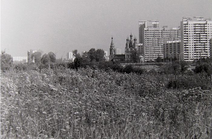 Тропаревское поле. 1979 год