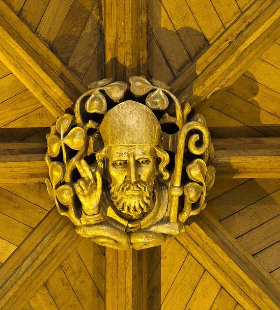 The ceiling boss of St. Patrick inside Anglican Cathedral in Armagh (kindly provided by John Stafford)