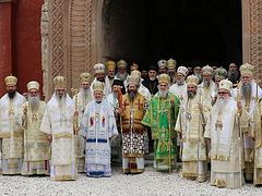 Ukraine is biggest problem facing Orthodox Church today—Serbian Council of Bishops