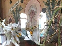 Dry lilies miraculously bloom in time for Pentecost at Krasnogorsk Monastery (+ VIDEO)