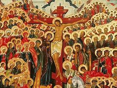 Homily on the Sunday of All Saints