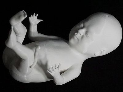 Можно ли убивать эмбрионов в утробе матери? — что думает Церковь
