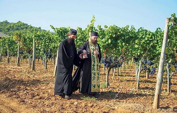 Игуман Методије са монахом у винограду