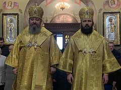 Polish hierarch concelebrates with Ukrainian hierarch to show support for canonical Church