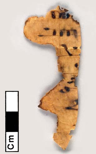 Рис. 21. Дейр-Айн-Абата, фрагмент библейского пергамента с надписью на арамейском языке